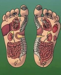 migliora le funzioni organiche e fisiologiche